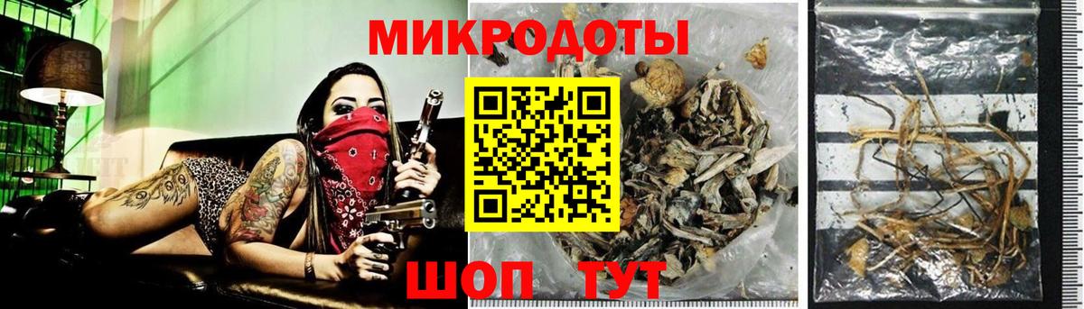 Галлюциногенные грибы прущие грибы Лысьва