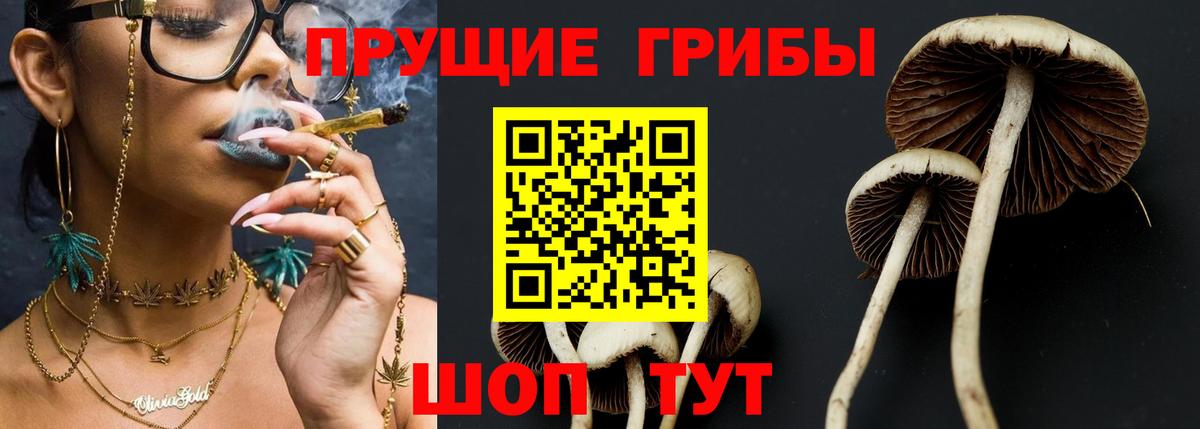 Лысьва  Галлюциногенные грибы Cubensis  Вход с VPN  Псилоцибиновые грибы прущие грибы 